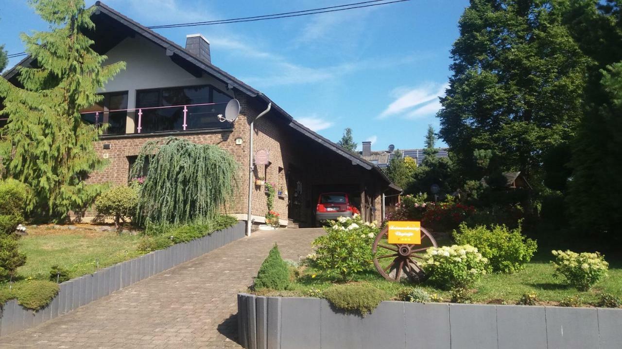 Ferienwohnung Virginija Ditscheid Bagian luar foto