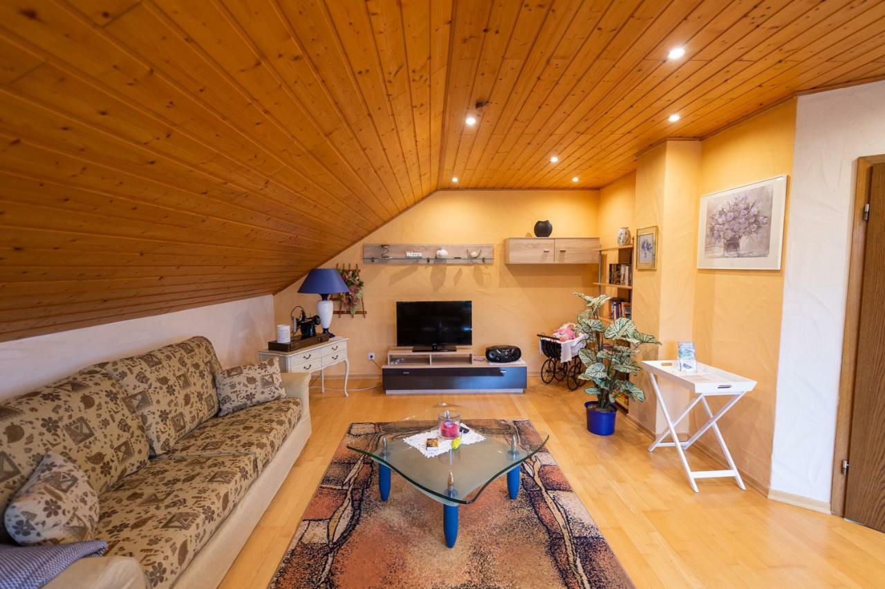 Ferienwohnung Virginija Ditscheid Bagian luar foto