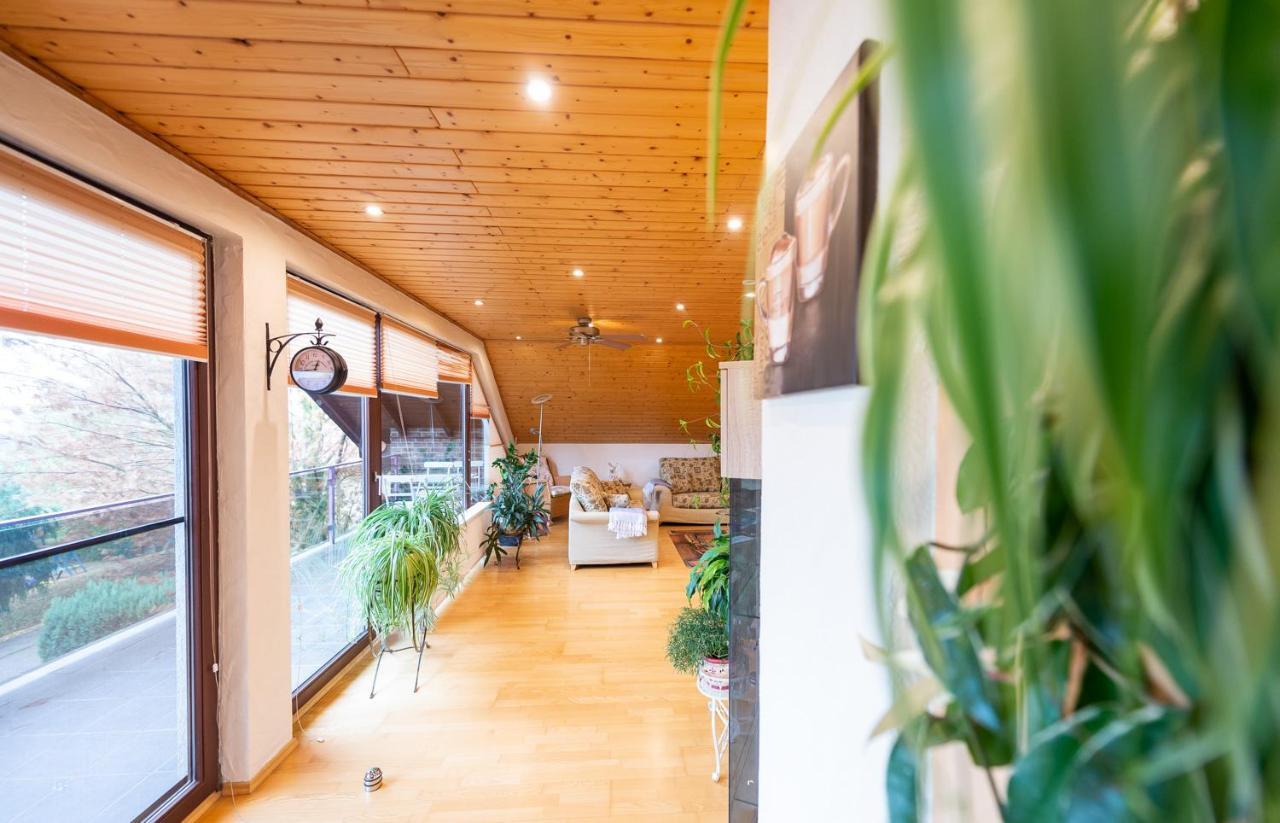 Ferienwohnung Virginija Ditscheid Bagian luar foto
